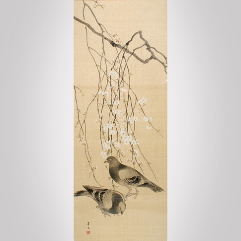 Pigeons and plum blossom, by Matsumura Keibun (1779-1843)
, Japan, 