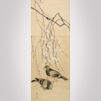 Pigeons and plum blossom, by Matsumura Keibun (1779-1843)
 - Japan, 