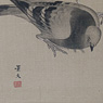 Pigeons and plum blossom, by Matsumura Keibun (1779-1843)
 (detail), Japan,  [thumbnail]