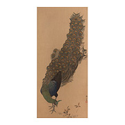 Peacock, by Tetsuzan Mori Shushin - Japan, 