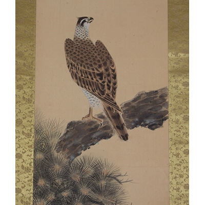 Hanging scroll painting of a hawk, by Yoyu (close-up), Japan, 