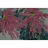 Painting of flowers (close-up), China, 20th century [thumbnail]