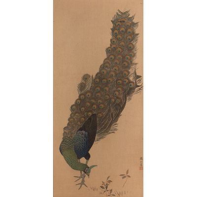 Peacock, by Tetsuzan Mori Shushin, Japan, Peacock, by Tetsuzan Mori Shushin, Japan,