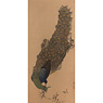 Peacock, by Tetsuzan Mori Shushin, Japan,  [thumbnail]