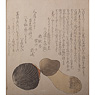 Pine mushroom and red clam shell, Shunga, surimono, Japan, early 19th century [thumbnail]
